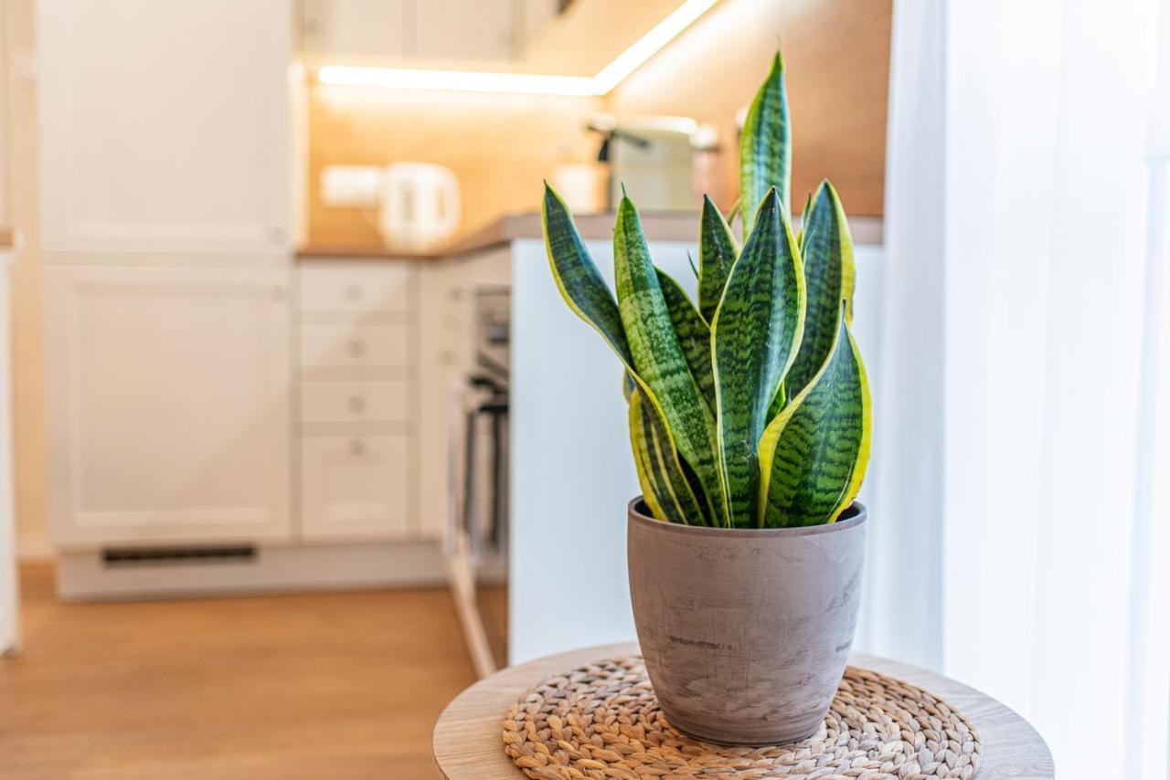 Cosy Inner City Getaway Bestern 세게드 외부 사진